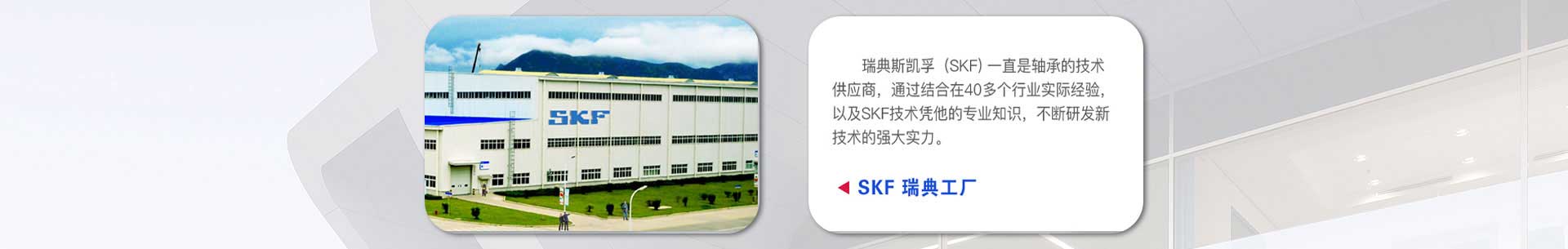 skf軸承在中國銷售